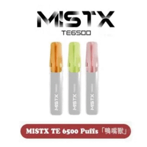 MISTX TE 6500 Puffs「鴨嘴獸」一次性抛棄式電子煙【10款現貨】